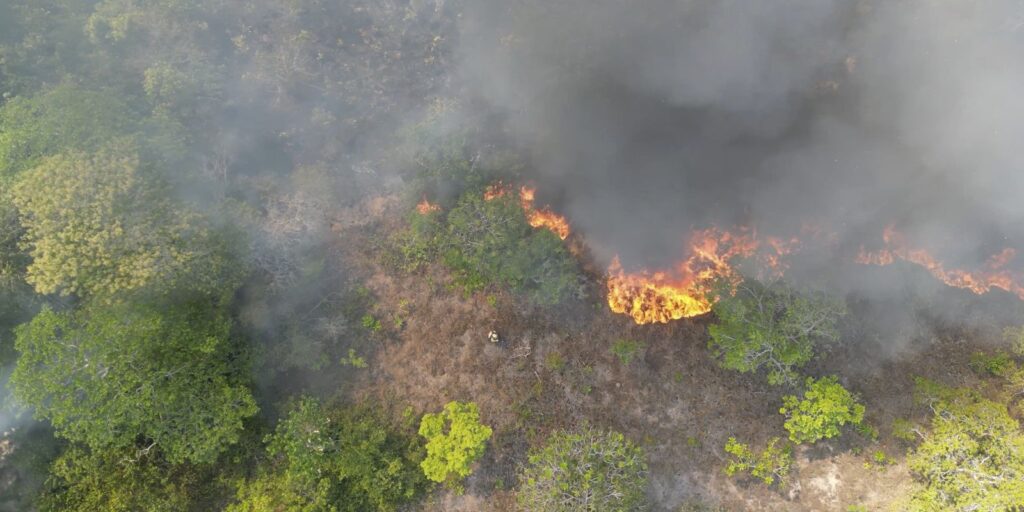 governo-lanca-campanha-de-prevencao-a-incendios-florestais-na-amazonia
